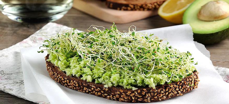 A Slice of Advice: Choosing Bread for Diabetics