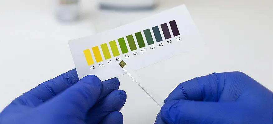 healthy vaginal pH balance