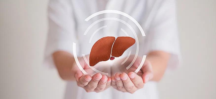The Ultimate Guide to Liver Health: An Overview