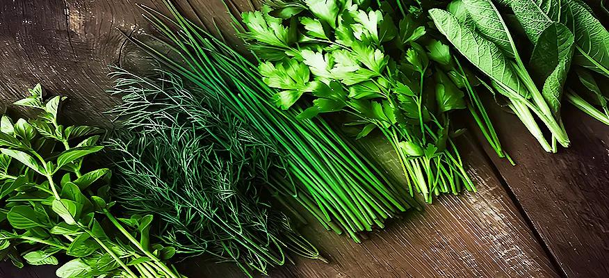 Herbs and Spices for a Healthier Liver: Your Essential Guide