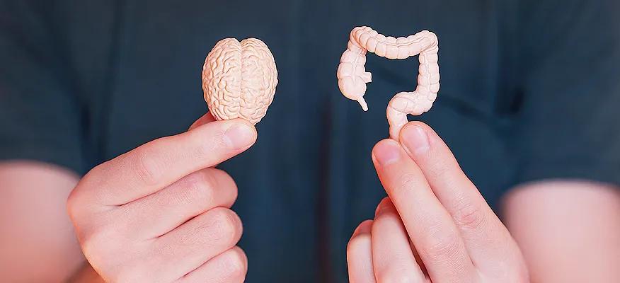 A Path To Wellness: Mindful Practices For Gut-Brain Connection
