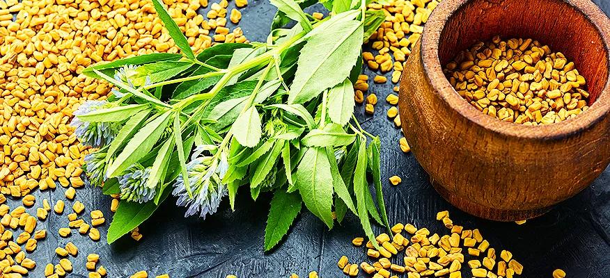 Fenugreek seeds for hair growth and health benefits