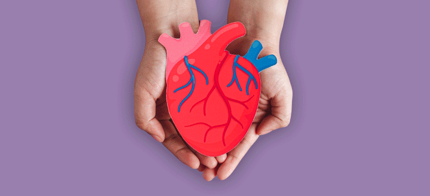 healthy heart, woman gardening, taking stairs at work for incidental exercise.